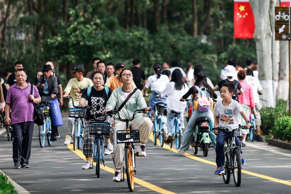 奔驰宝马游戏机下载